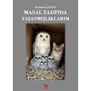 MASAL TADINDA YAŞANMIŞLIKLARIM