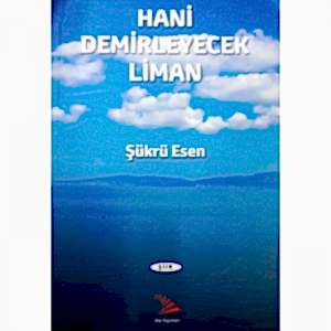 HANİ DEMİRLEYECEK LİMAN